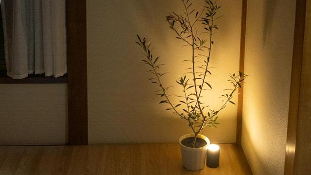 4_puramaizero_LED-304