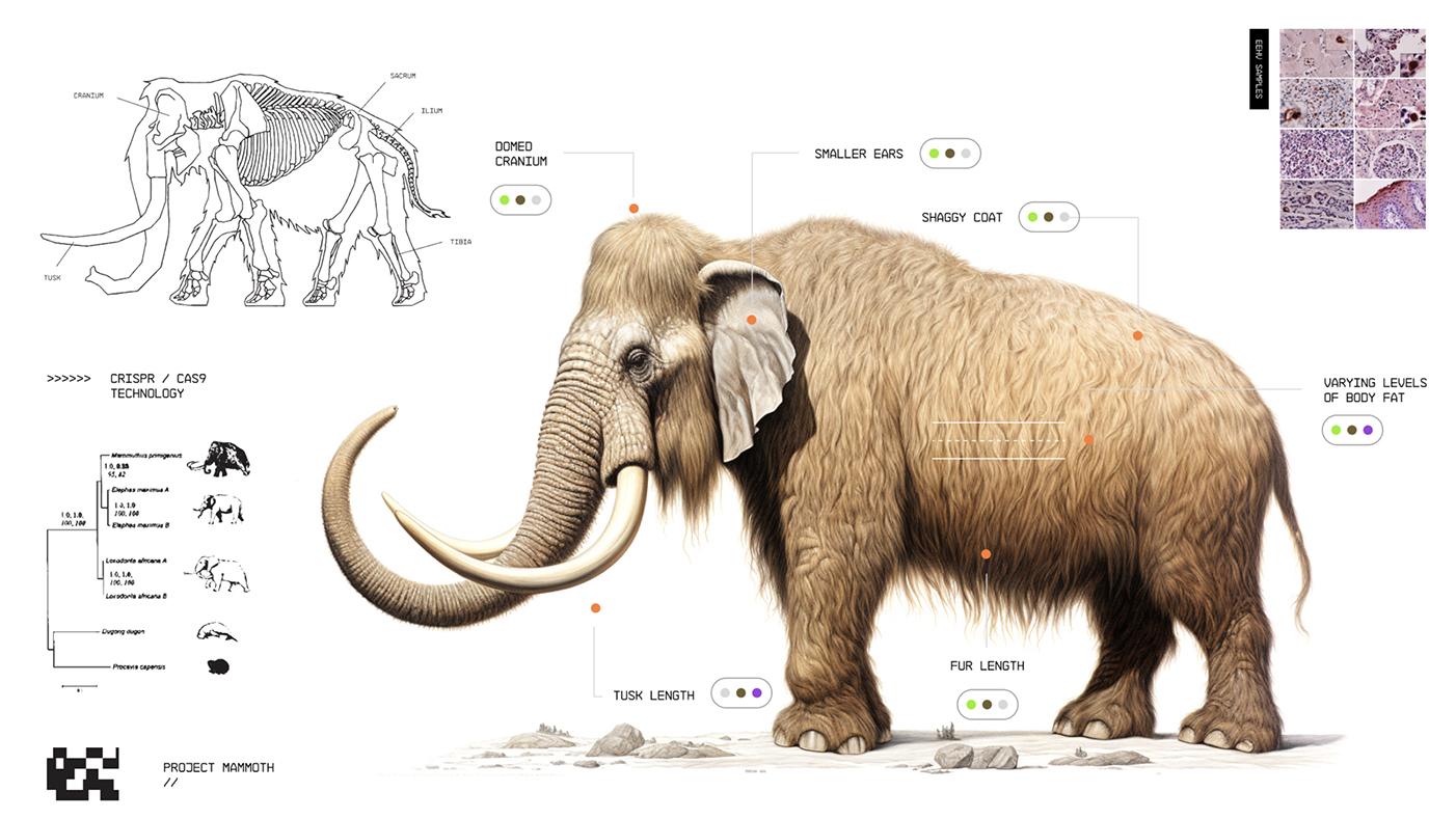 絶滅種復活カンパニー｣がやろうとしてること | ギズモード・ジャパン