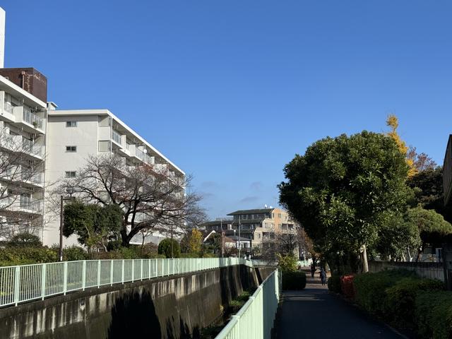 240329fireflyreference_03