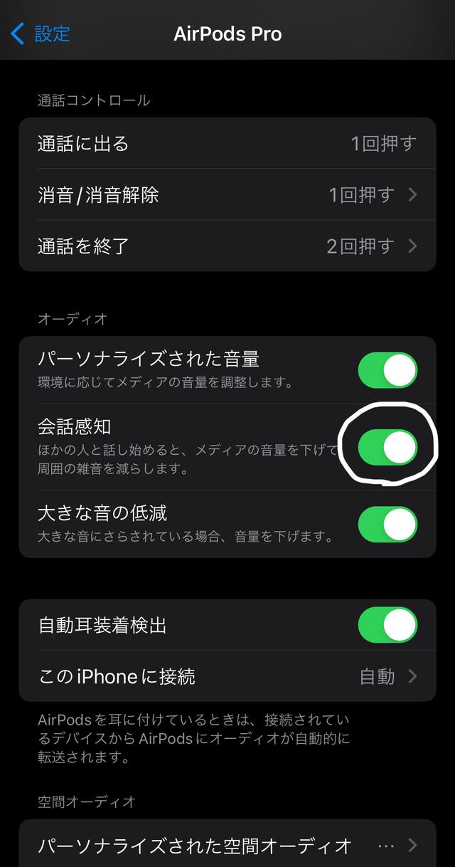 スクリーンショット2024-04-1723.17.02