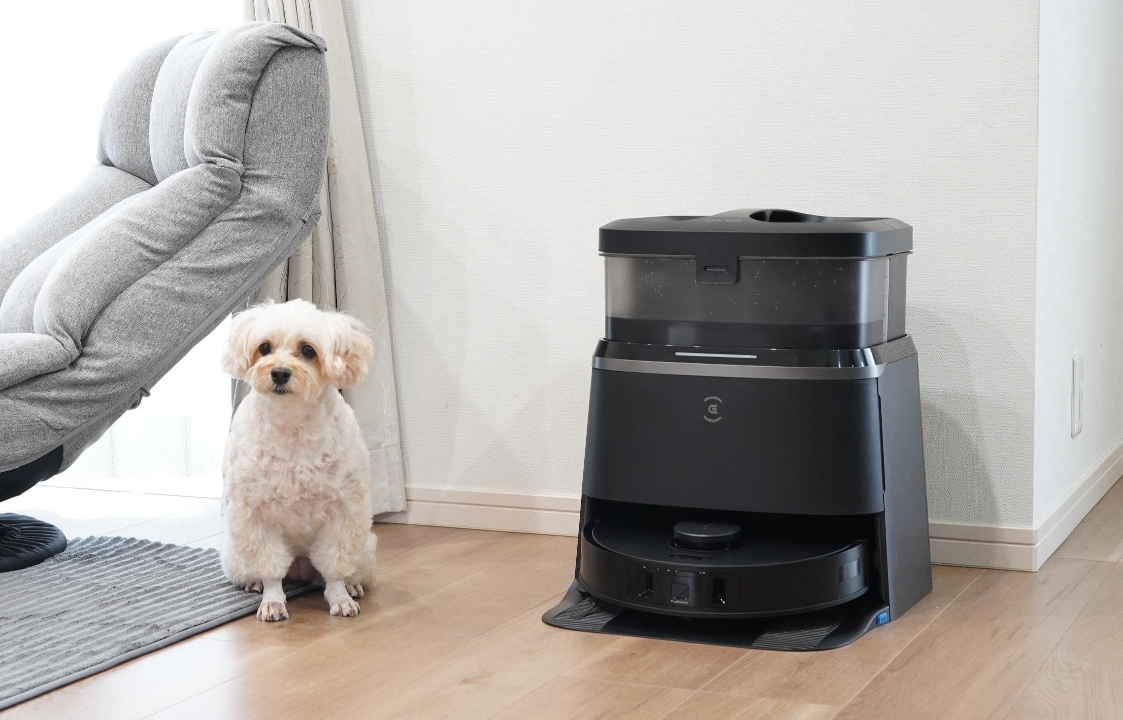 全自動、機能もりもりなのにシュンッと小型化。エコバックスの新作が