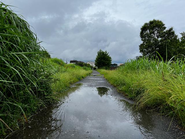 240703_cloudrunner2_wetroadahead