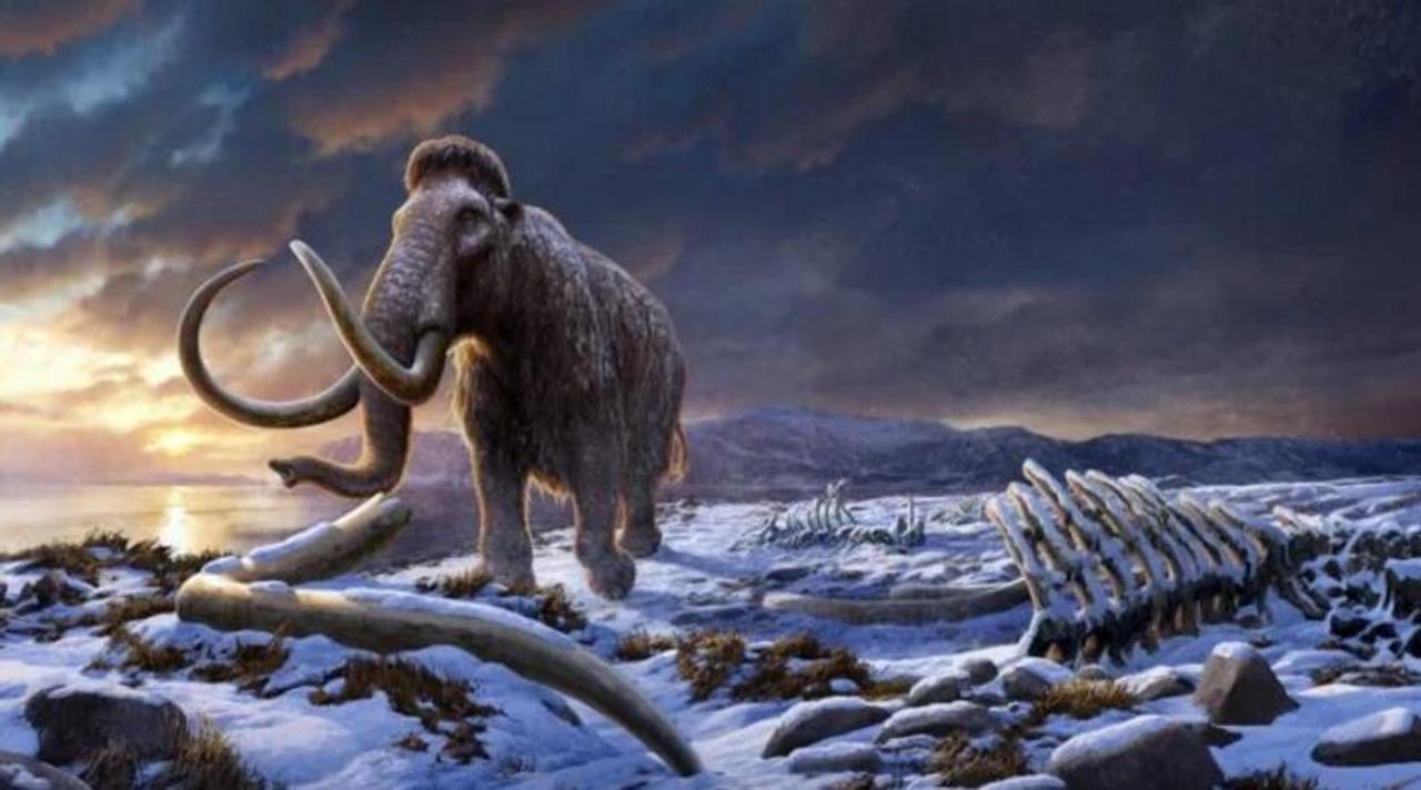 4000年前に何があったのか…。マンモス絶滅要因に新展開