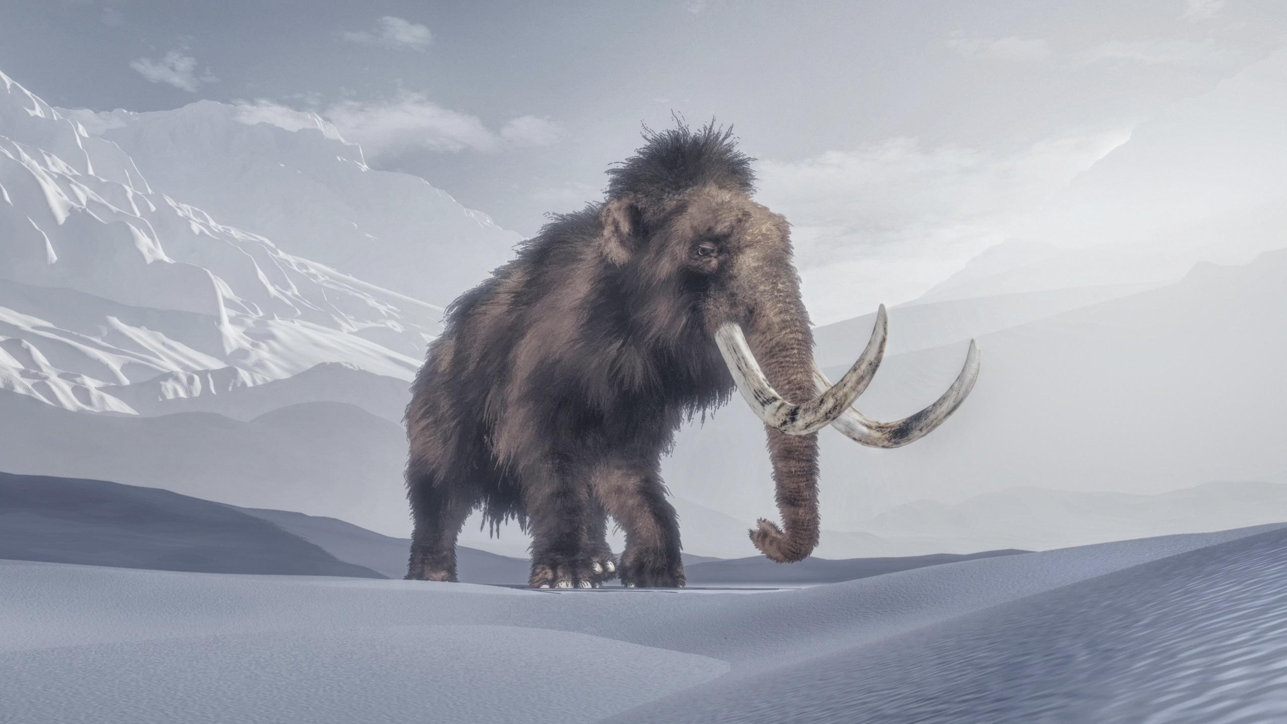 5万2000年前に瞬間冷凍。完璧な状態で発見されたマンモスの染色体