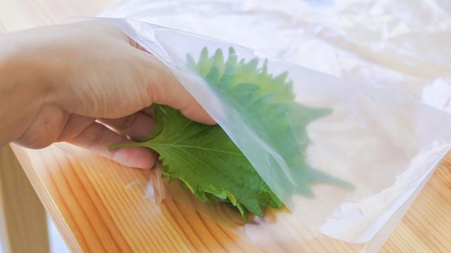 20240717-muji-plastic-bag-03