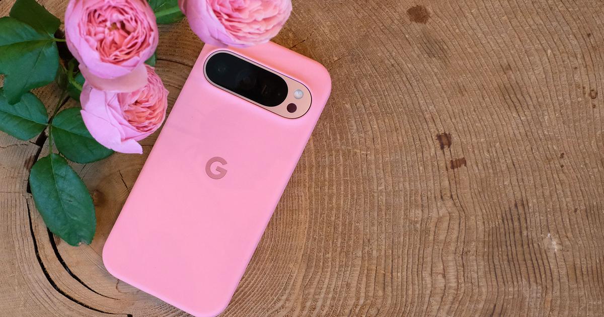 Google Pixel 9 Proの純正スマホケース買ってみた。限定カラーが嬉しい | ギズモード・ジャパン