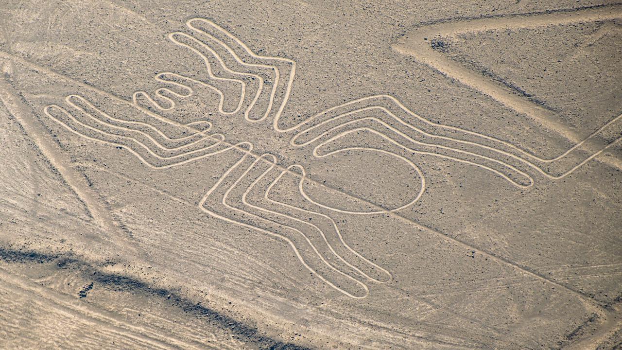 ナスカ地上絵 研究本