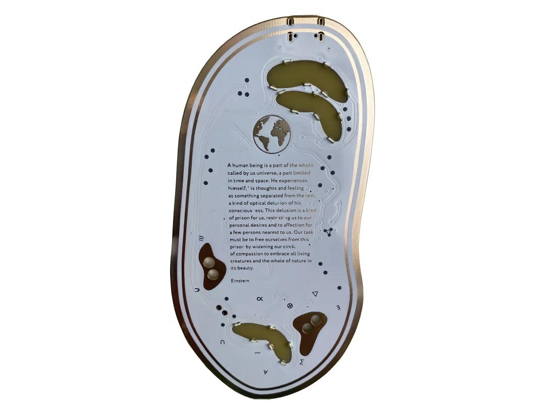 playtronica Biotron セット 植物が楽器になるガジェット。手のひらサイズで1万5000円