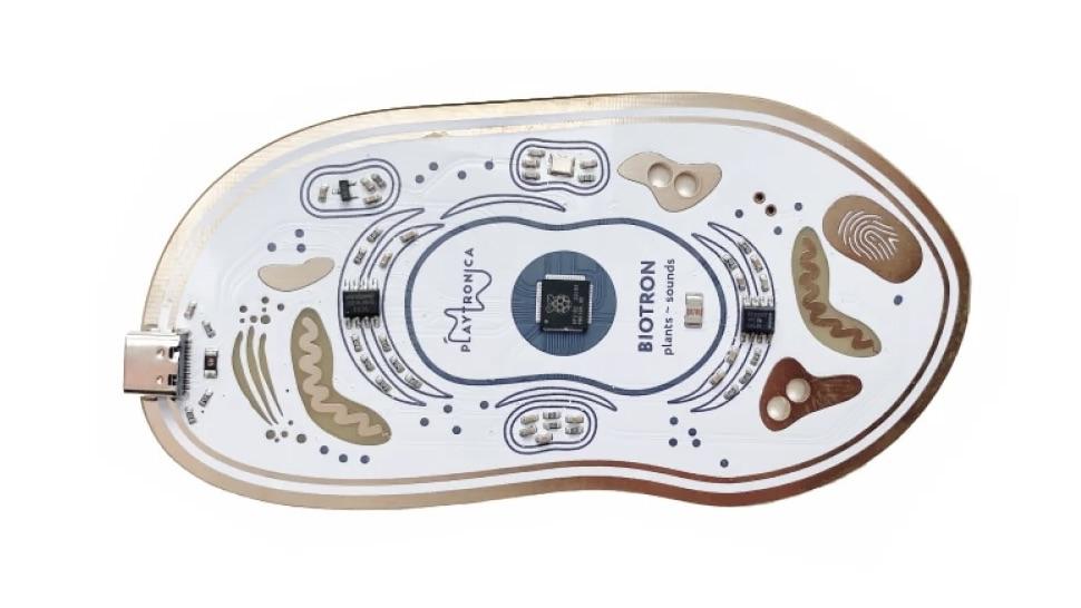 playtronica Biotron セット 植物が楽器になるガジェット。手のひらサイズで1万5000円