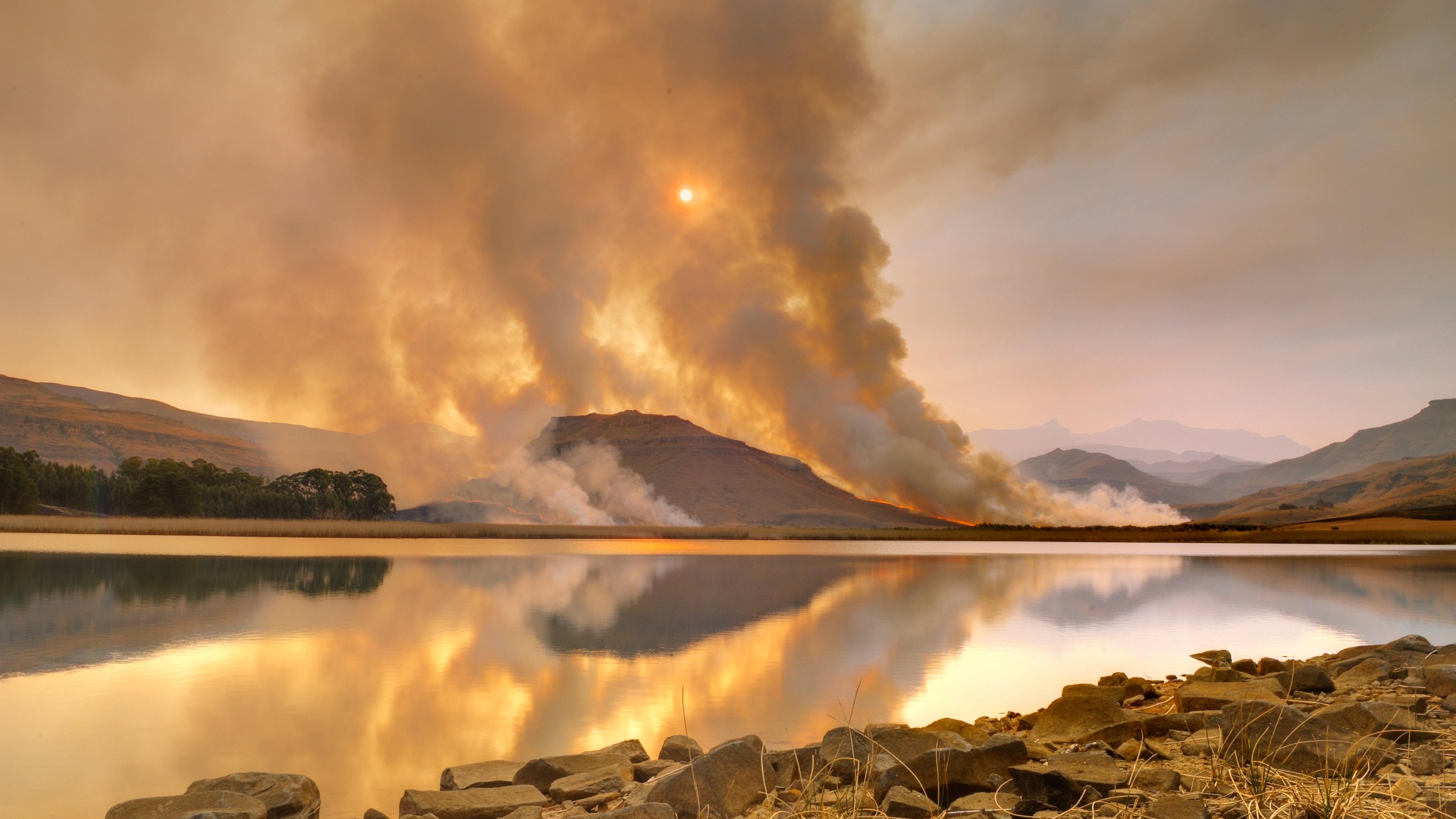 shutterstock_2500232071.jpg?w=1280