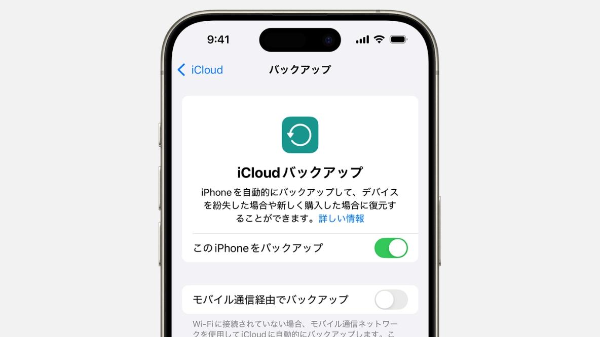 同梱禁止でお願いします 41qnXtoYT9L.jpg_BO30,255,255,