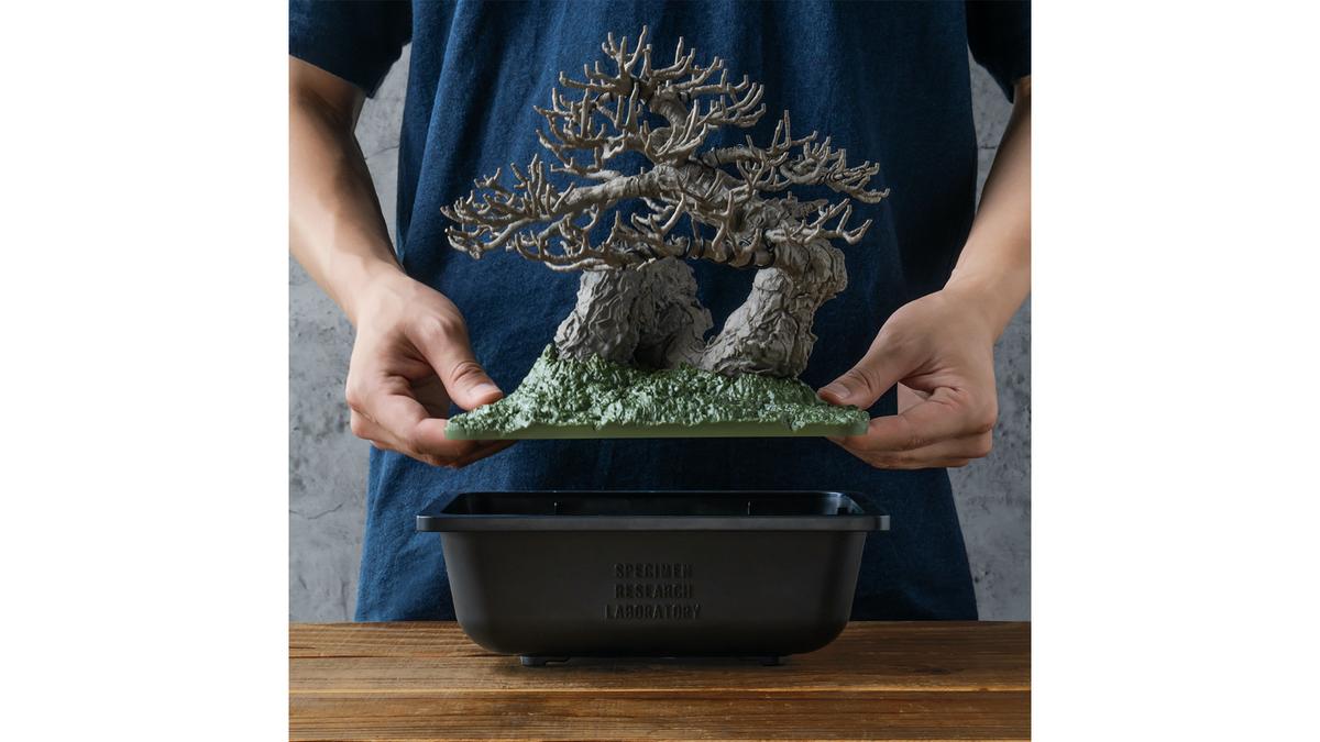 大人の趣味に「盆栽プラモ」はいかが？ おもちゃメーカーとアパレル
