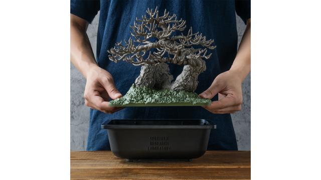 大人の趣味に「盆栽プラモ」はいかが? おもちゃメーカーと 大人の趣味に「盆栽プラモ」はいかが? おもちゃメーカーと
