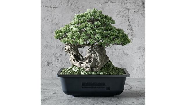 RAW LIFE FACTORY 植木鉢 RAW LIFE FACTORY 植木鉢 決して“格下の器”ではない植木鉢。価値観を