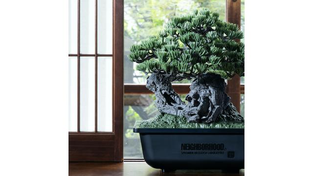 大人の趣味に「盆栽プラモ」はいかが? おもちゃメーカーと 大人の趣味に「盆栽プラモ」はいかが? おもちゃメーカーと
