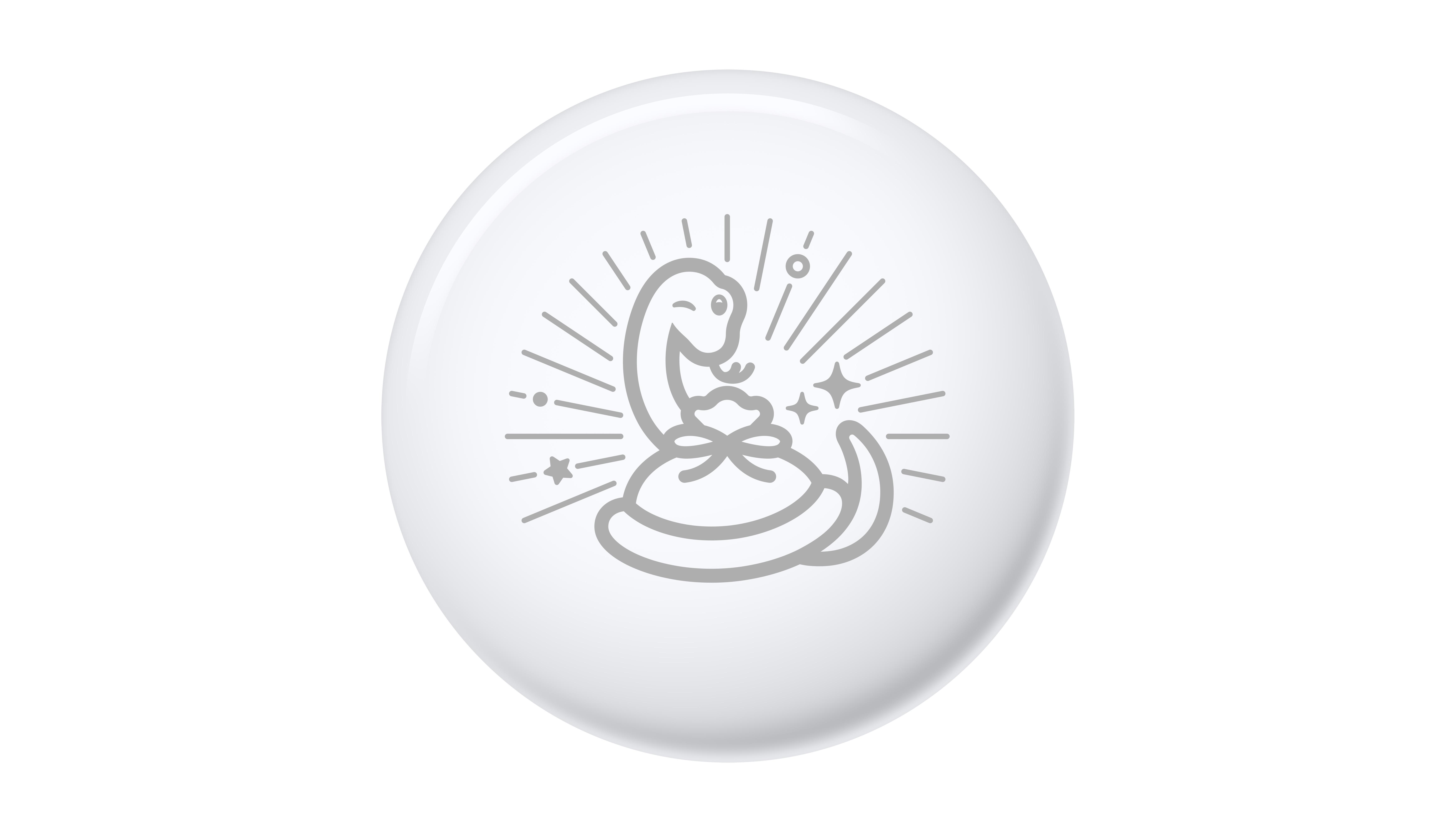 Apple エアタグ 巳年デザイン AirTag 巳年限定デザイン2個セット Apple 2025年限定 AirTag エアタグ