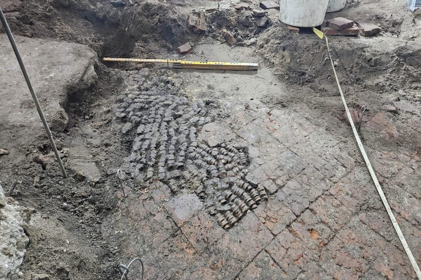 タイル代わりに骨が張られた床、オランダで発見される