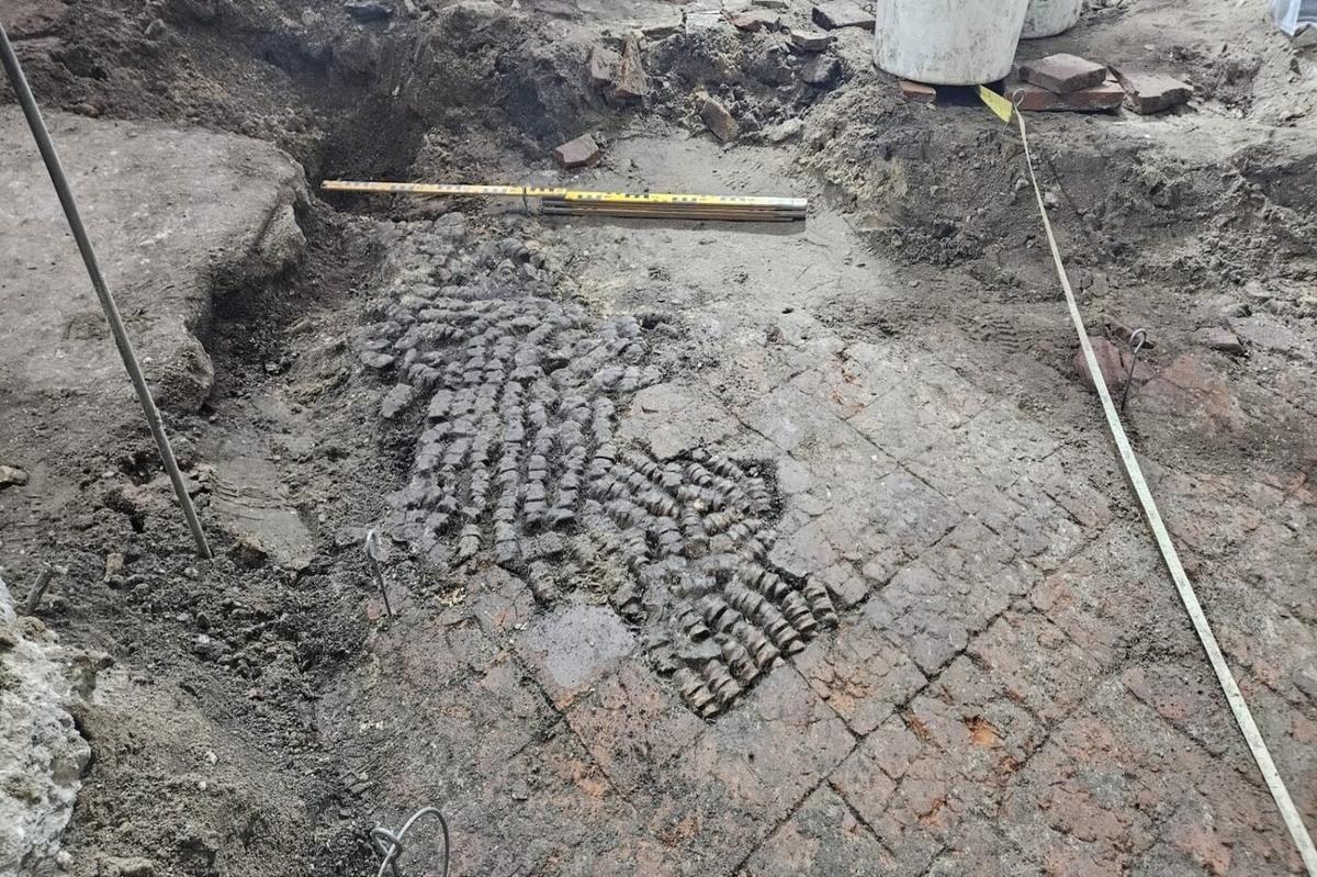 タイル代わりに骨が張られた床、オランダで発見される | ギズモード 