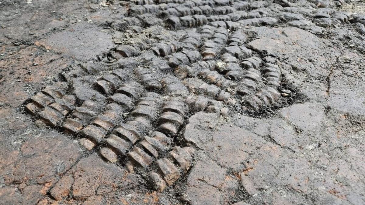 タイル代わりに骨が張られた床、オランダで発見される | ギズモード 