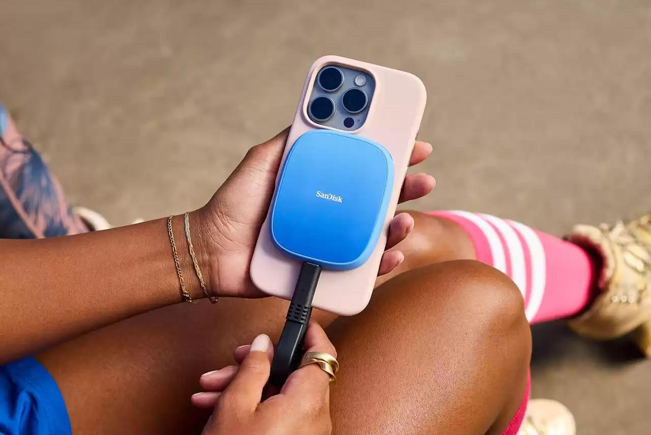 世界最大級のキリギリス マレーオオコノハギス ペア標本 おまとめ2,1