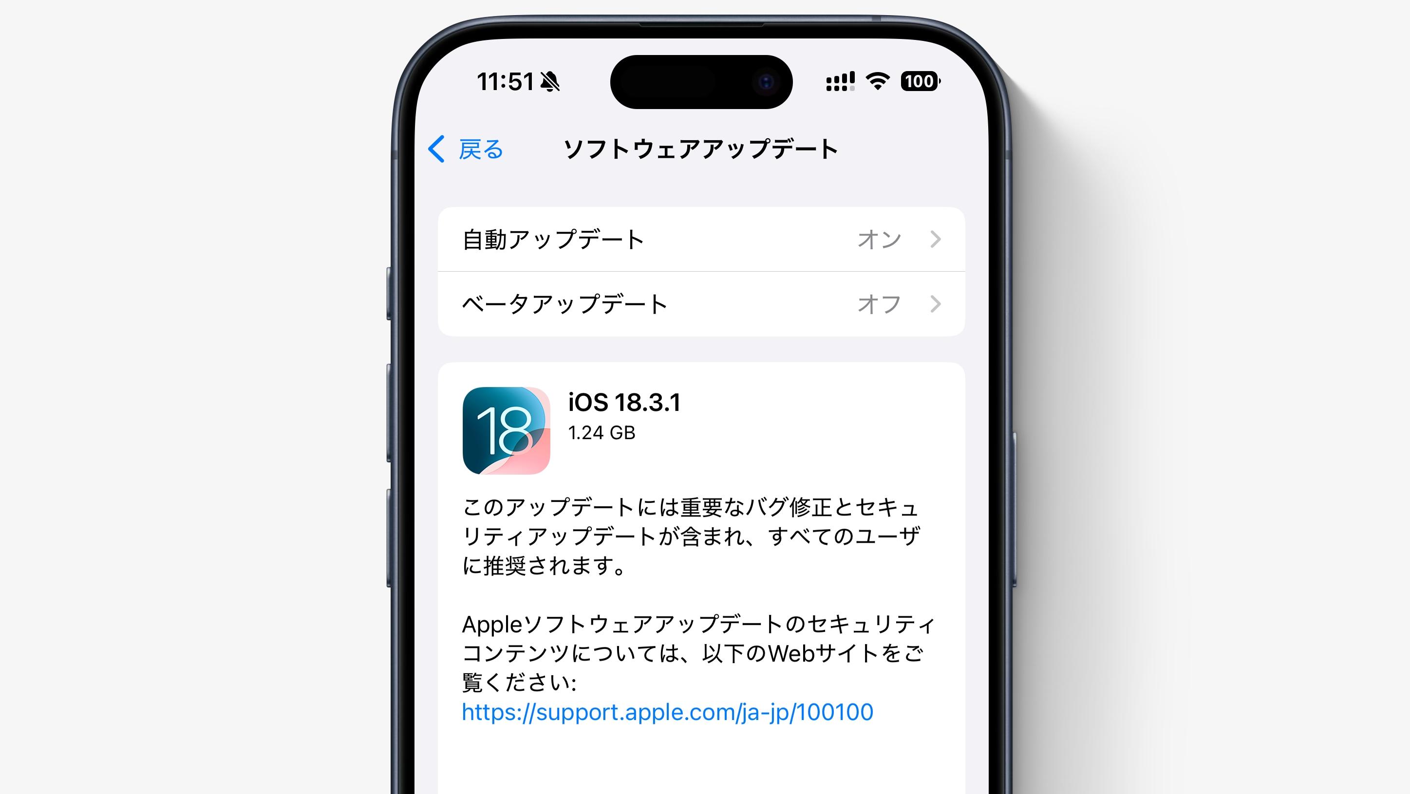iPhone（iPadも）へ。「すべてのユーザーに推奨」なバグ修正が配信