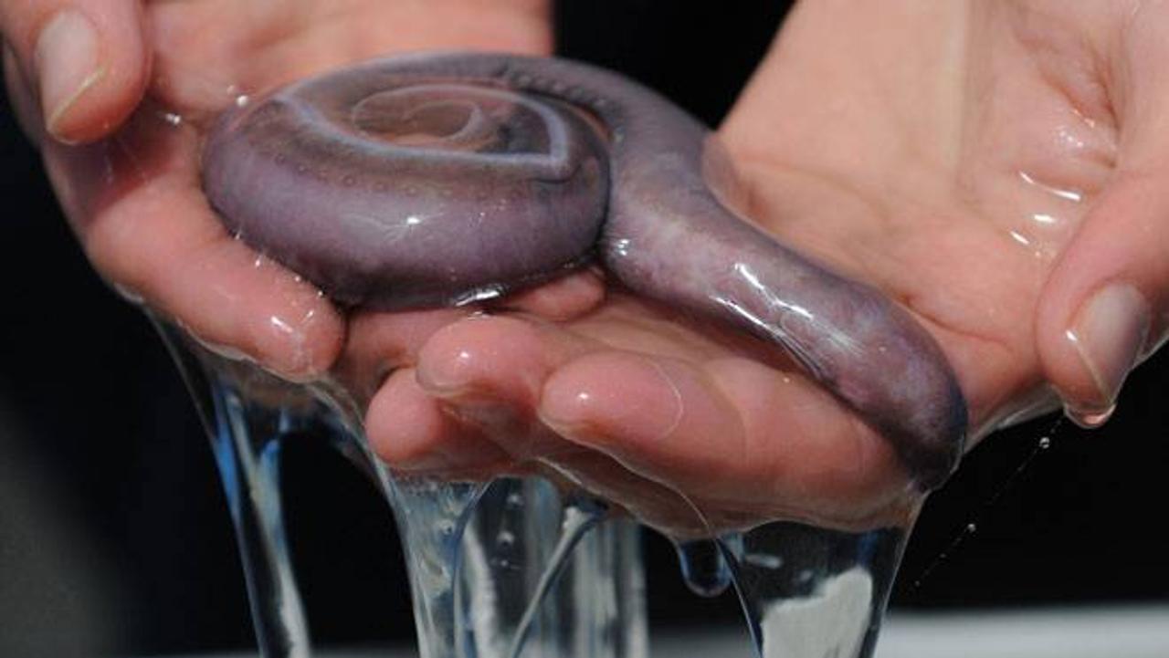 最薄マイクロファイバーの3Dプリントに成功。ヒントは魚の粘液