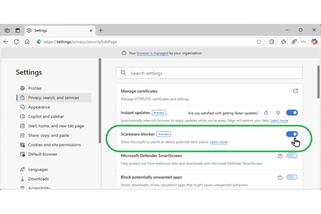 2_microsoft_edge