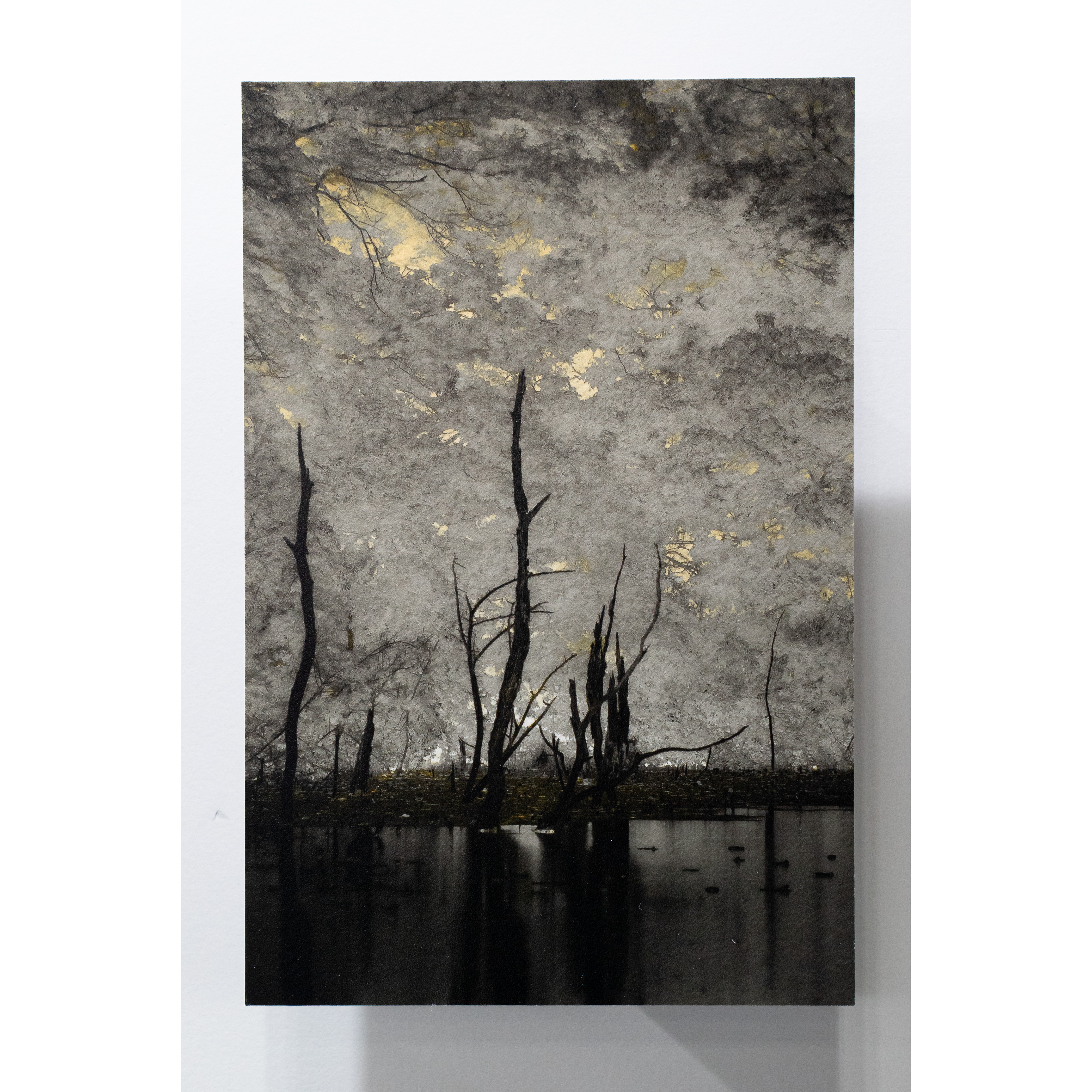 絵に見えたけど、絵じゃなかった。何だかわかる人はスゴすぎる