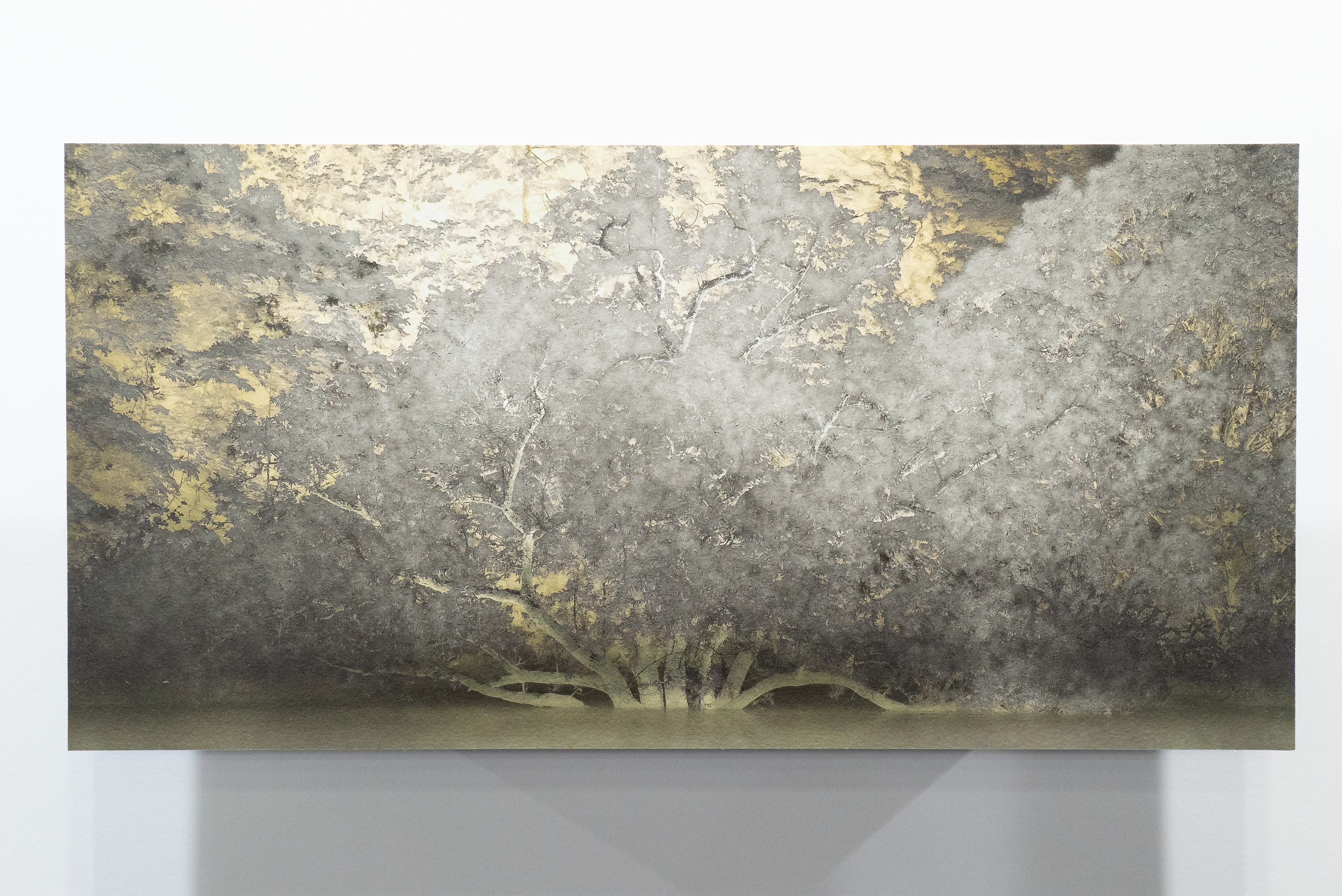 絵に見えたけど、絵じゃなかった。何だかわかる人はスゴすぎる