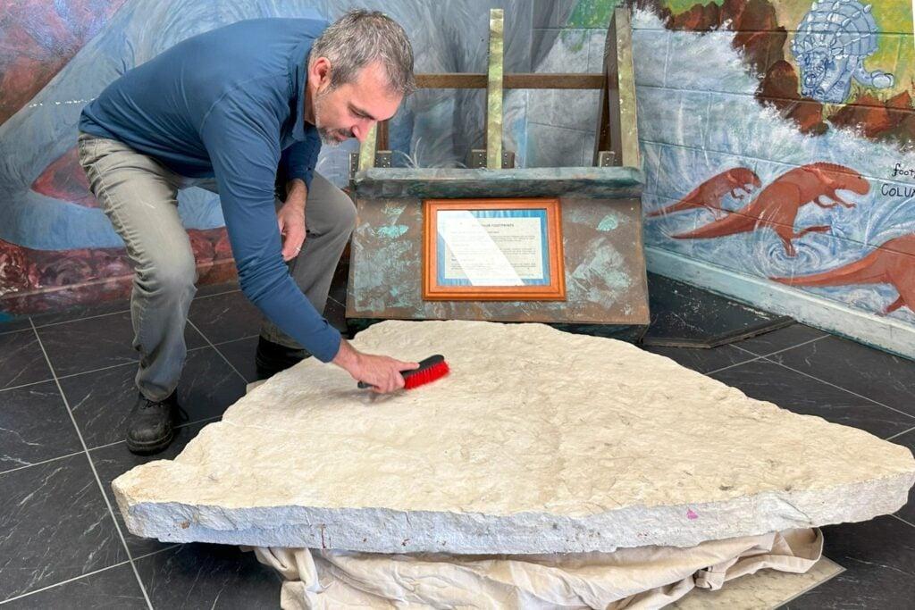 高校に放置されていた岩、実は2億年前の恐竜の足跡まみれだった