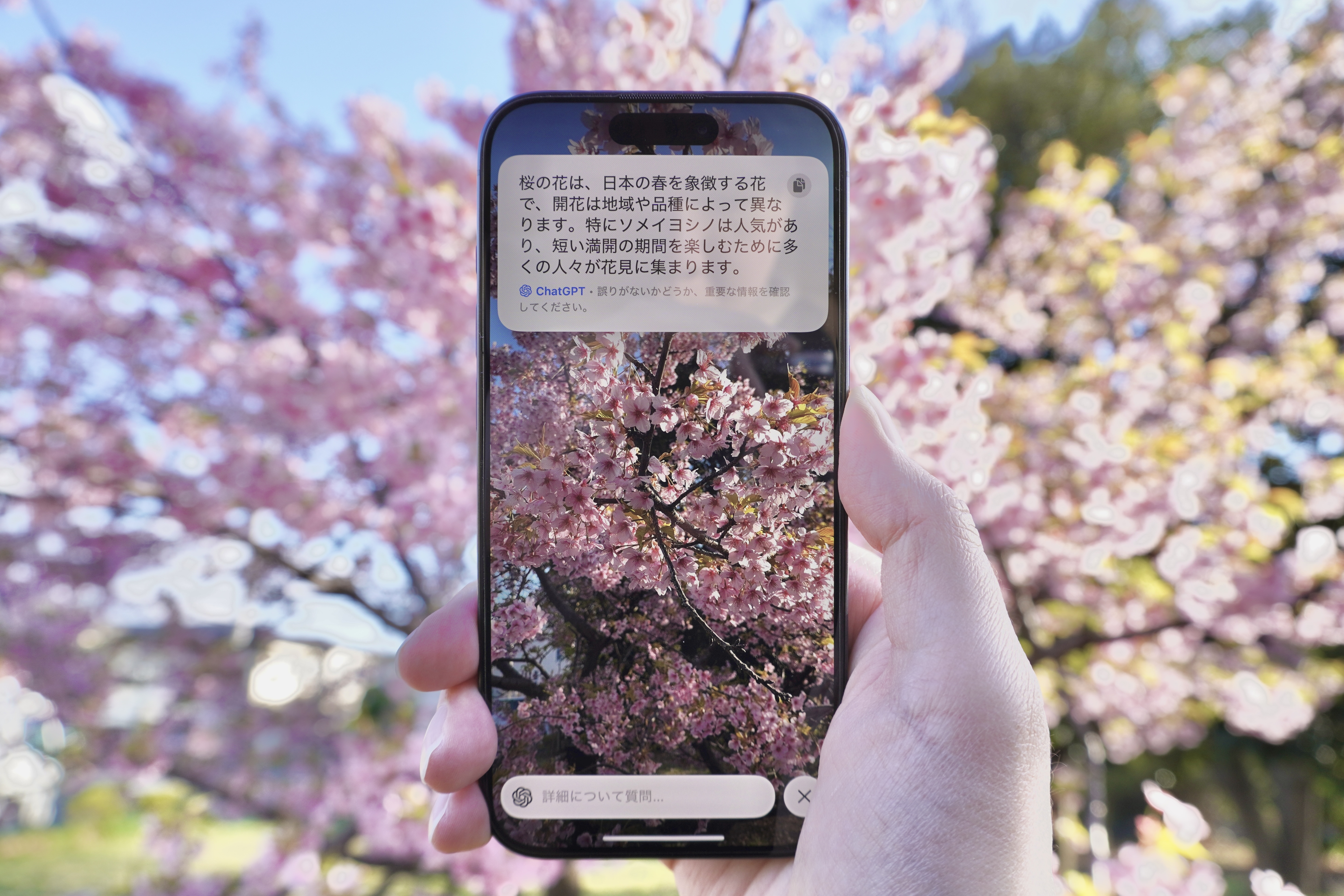 Amazon.co.jp: Inside AppleTalk インサイド アップルトーク