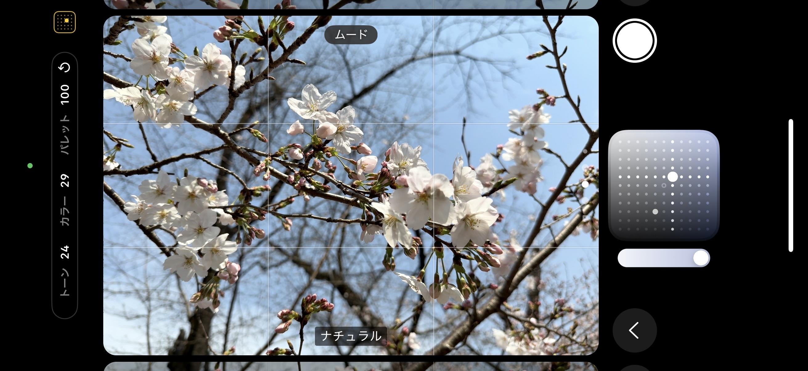 iPhone - 桜ページ 無料】桜の花のiPhoneスマホ用のZEKKEI壁紙・待ち受け画像を