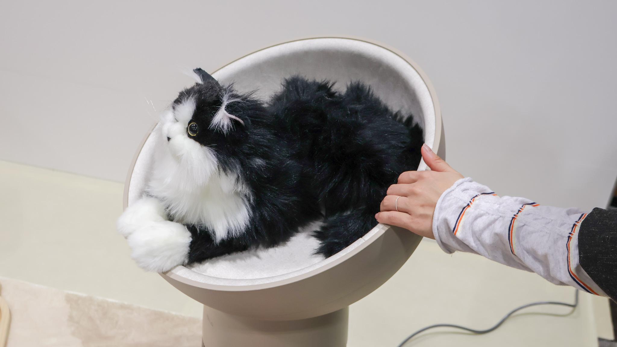 家電の上に乗りたがるネコ｣のための空気清浄機、LGから出ました