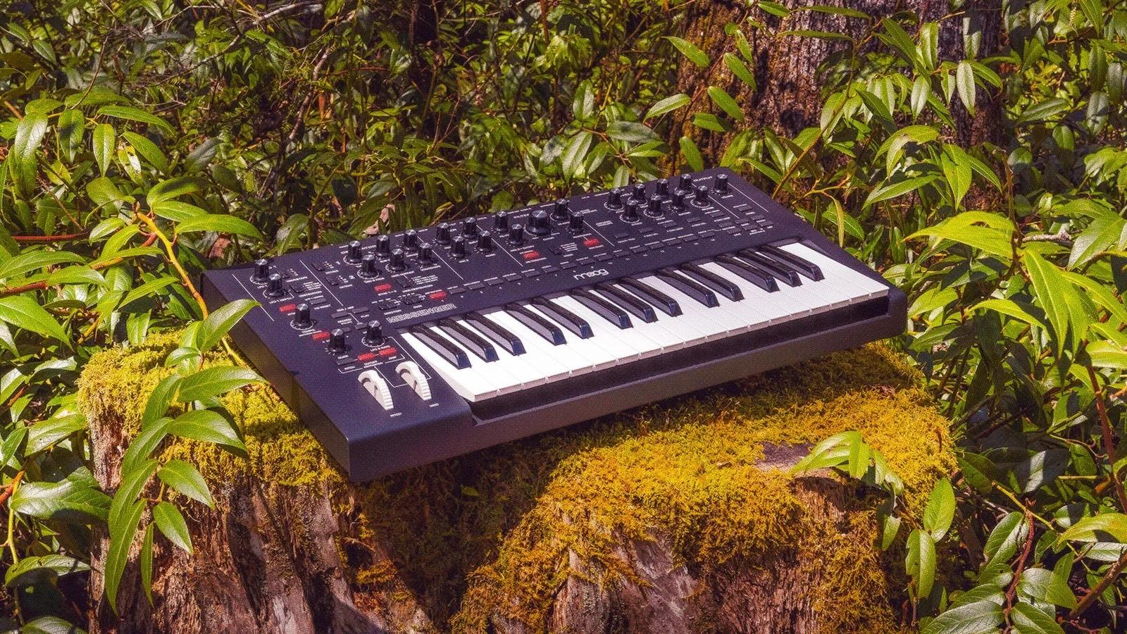 このツマミが、日常に創造性をもたらす。アナログシンセ｢Moog