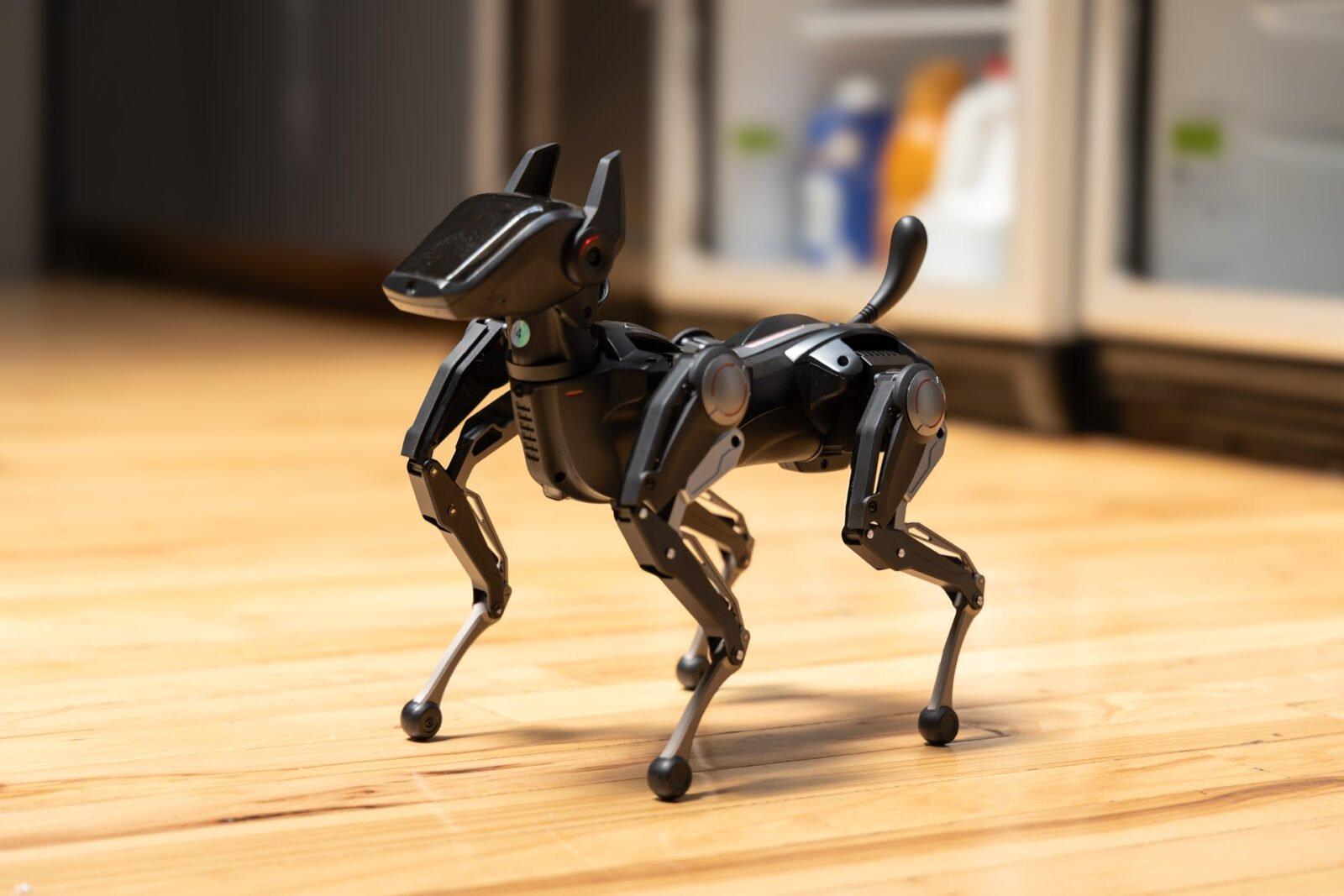 CES2023で出会った最新の愛すべき｢ロボペット｣たち | ギズモード・ジャパン