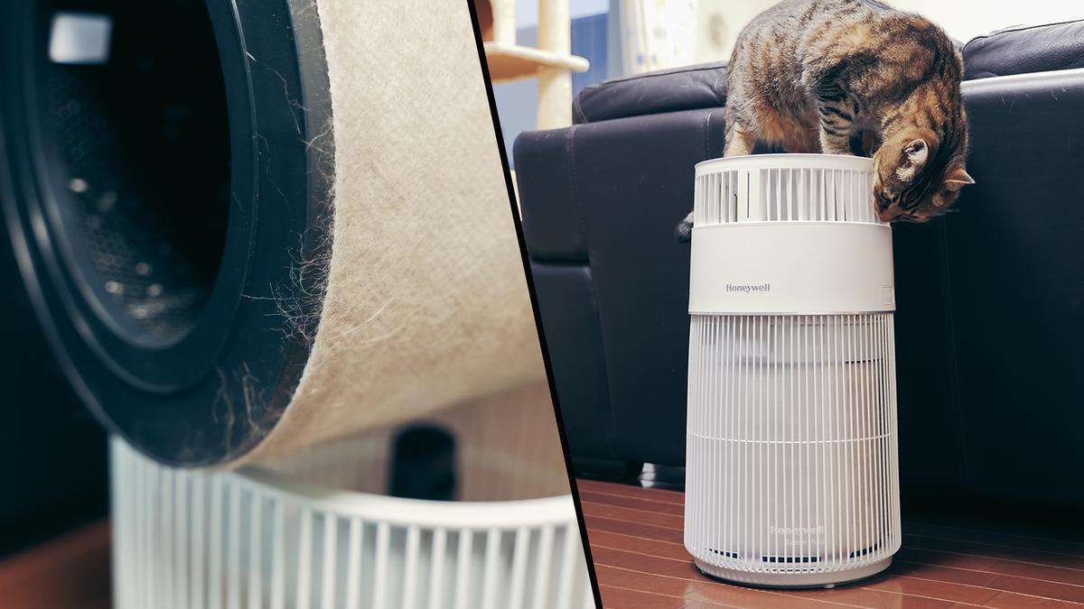 360度吸引で抜け毛も一網打尽。どうぞお乗りください〜、な“ネコ様