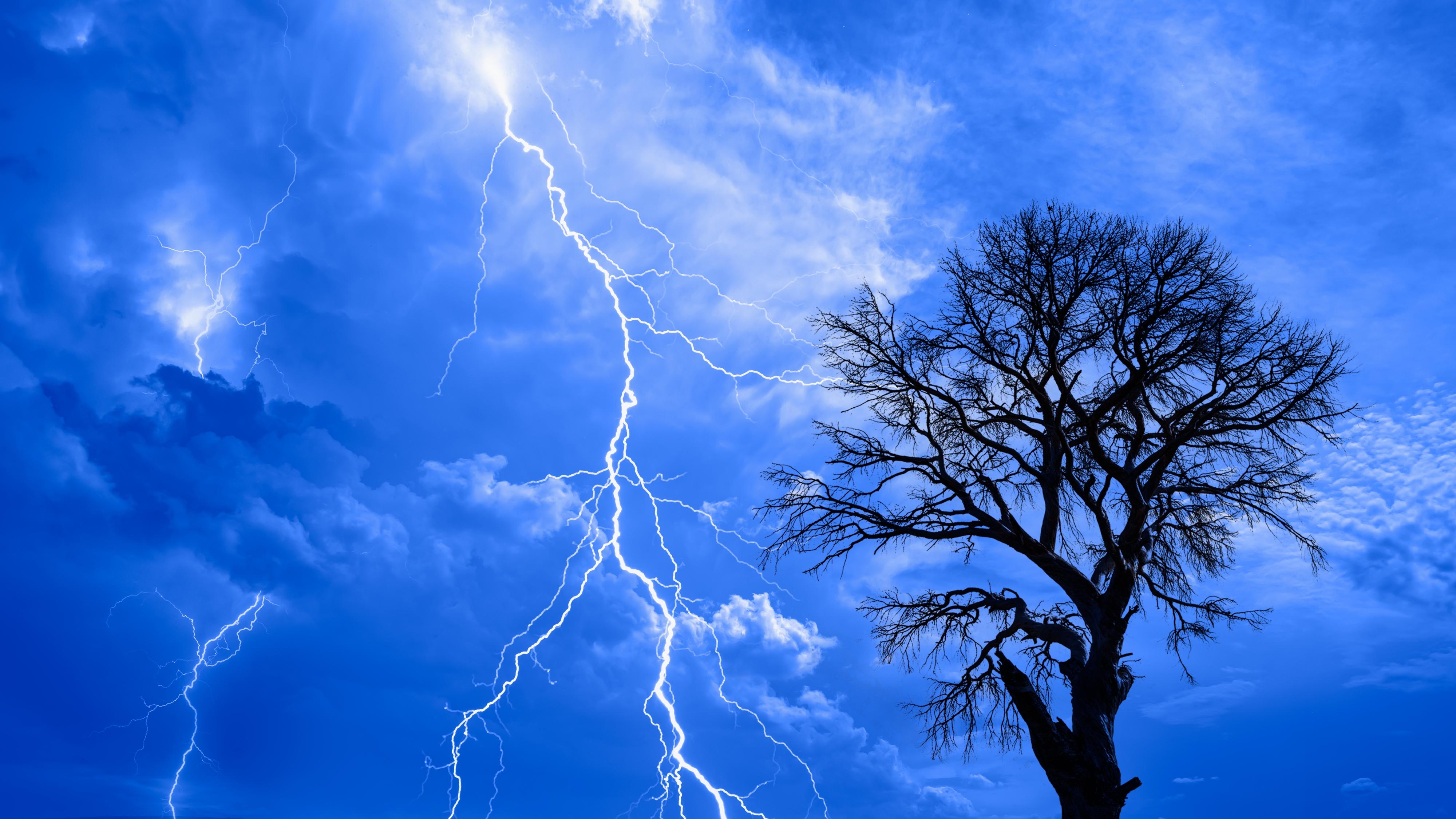 トークセン　雷が落ちた木 屋根に落ちることもある！？雷の恐怖