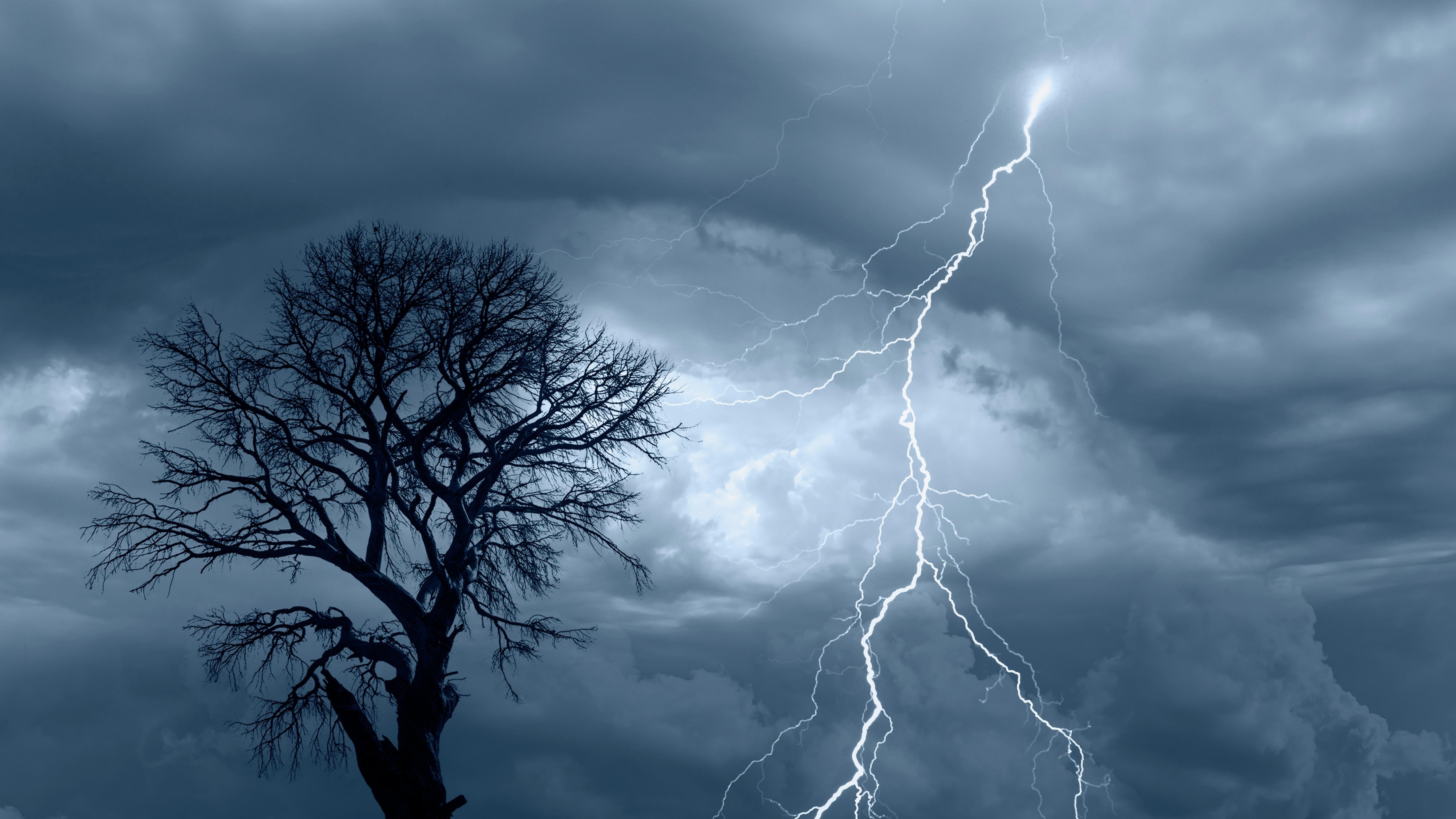 shutterstock_2184022421.jpg?w=1280