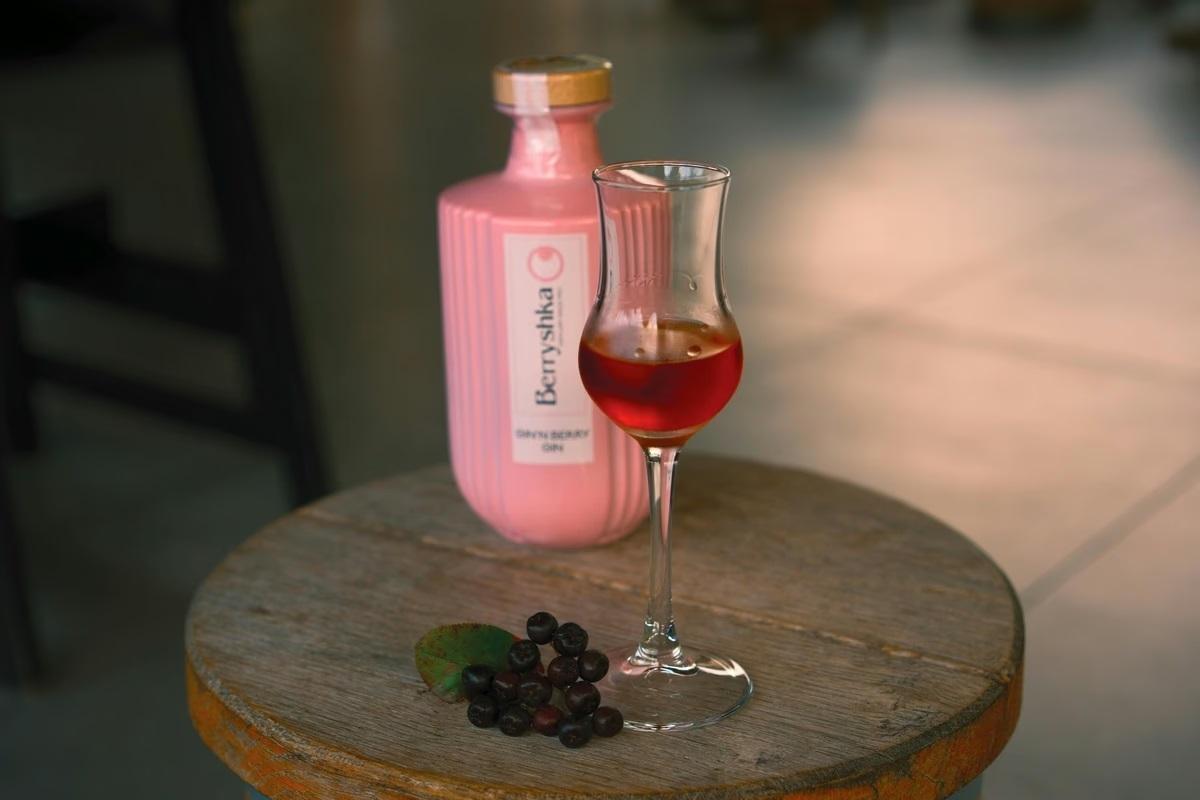 魔法的なおいしさ！スロベニア発スーパーフードアロニア入りのピンクジンGin 'N Berry
