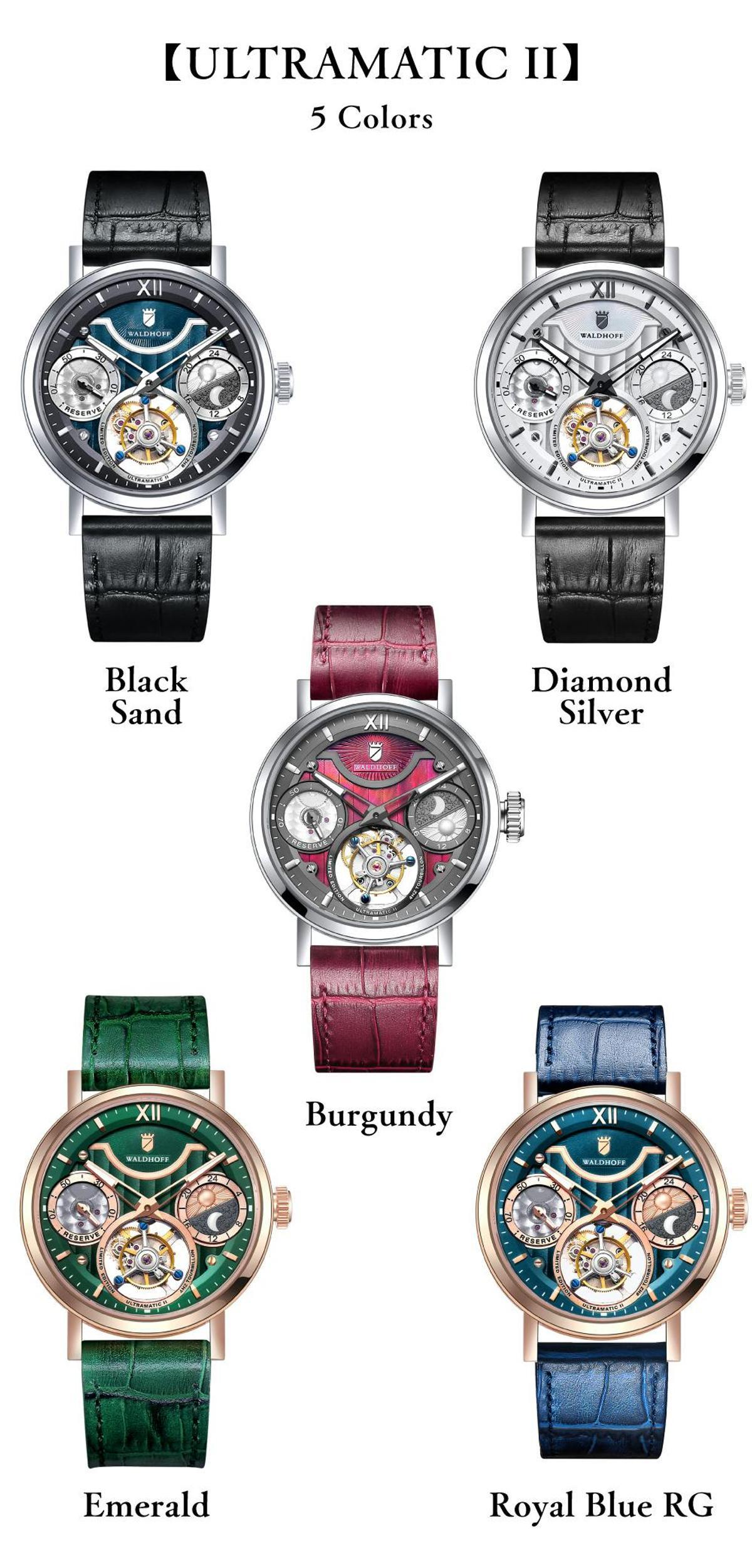 チタン×トゥールビヨンの贅沢仕様だけど手が届きます。ドイツ製