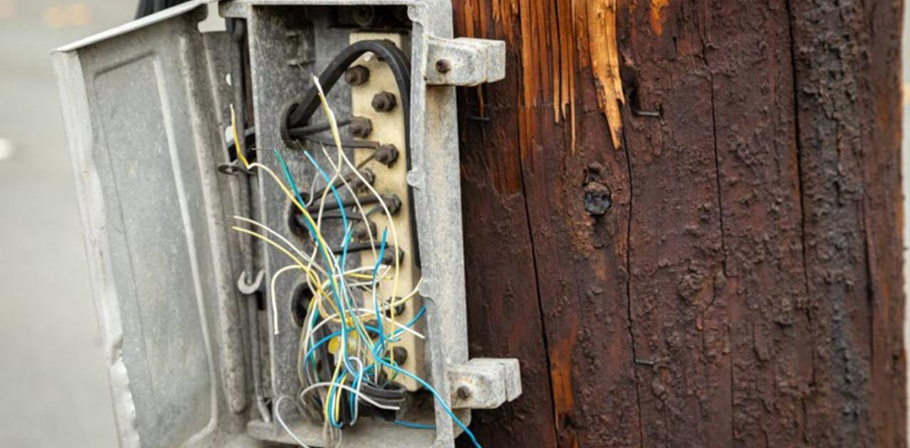 ギズモード・ジャパンのニュース記事「ロサンゼルスのEV充電ステーションで銅線泥棒が多発。EVの普及に影響するかも？」の画像