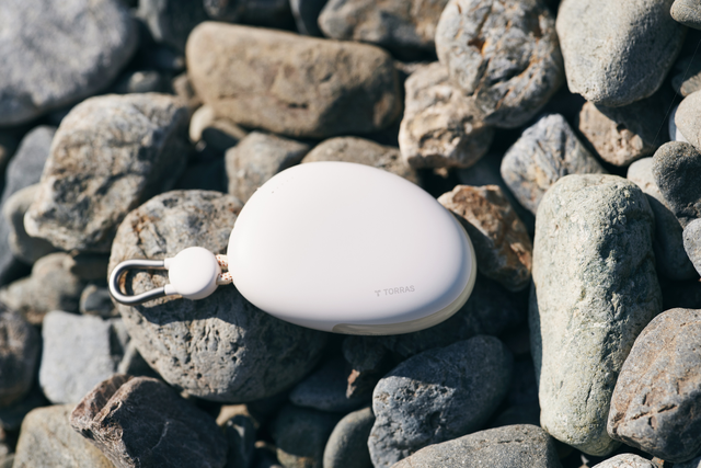 20251121_torras_1-11