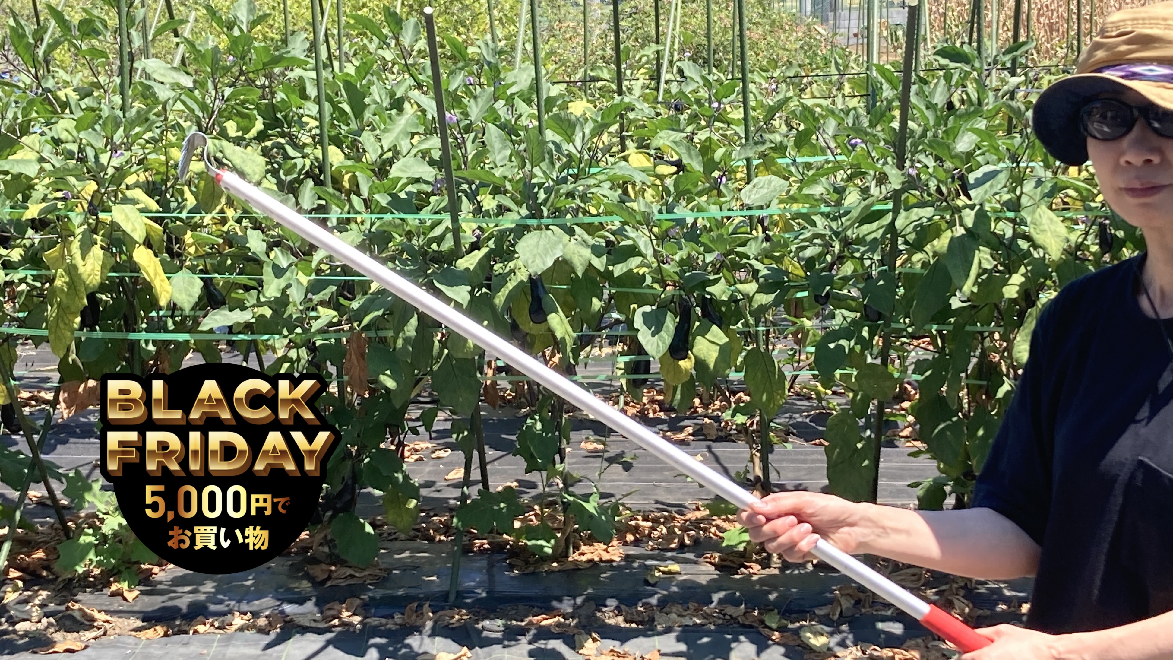 片手で扱えて立ったまま草刈りできる「草取りヅメ」で伸びまくる雑草をやっつけろ