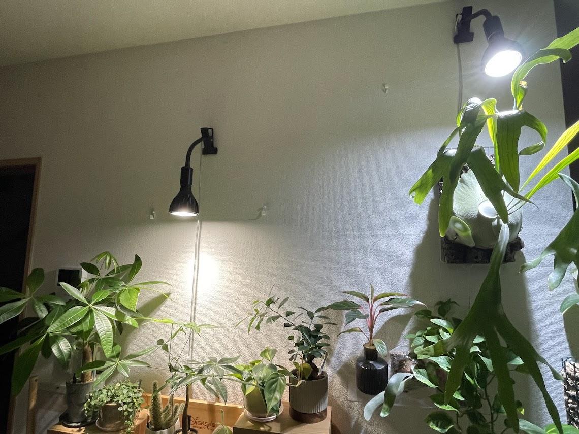 観葉植物を愛でる人にはぜひ持っててほしい。植物育成LEDライトが12