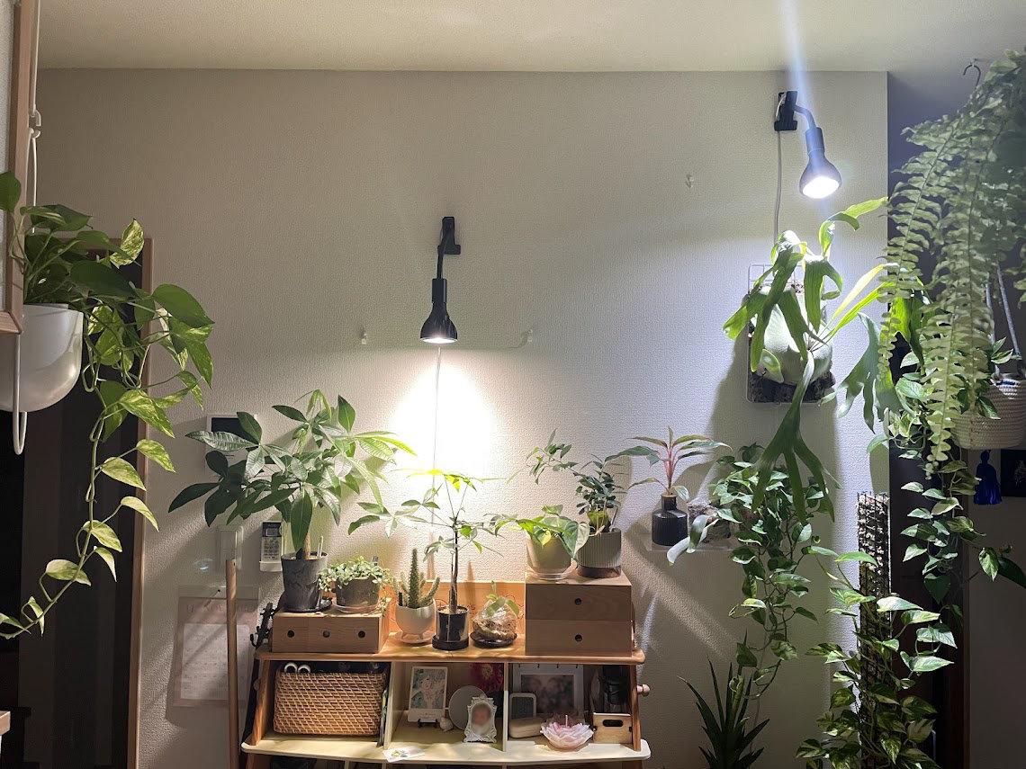観葉植物を愛でる人にはぜひ持っててほしい。植物育成LEDライトが12