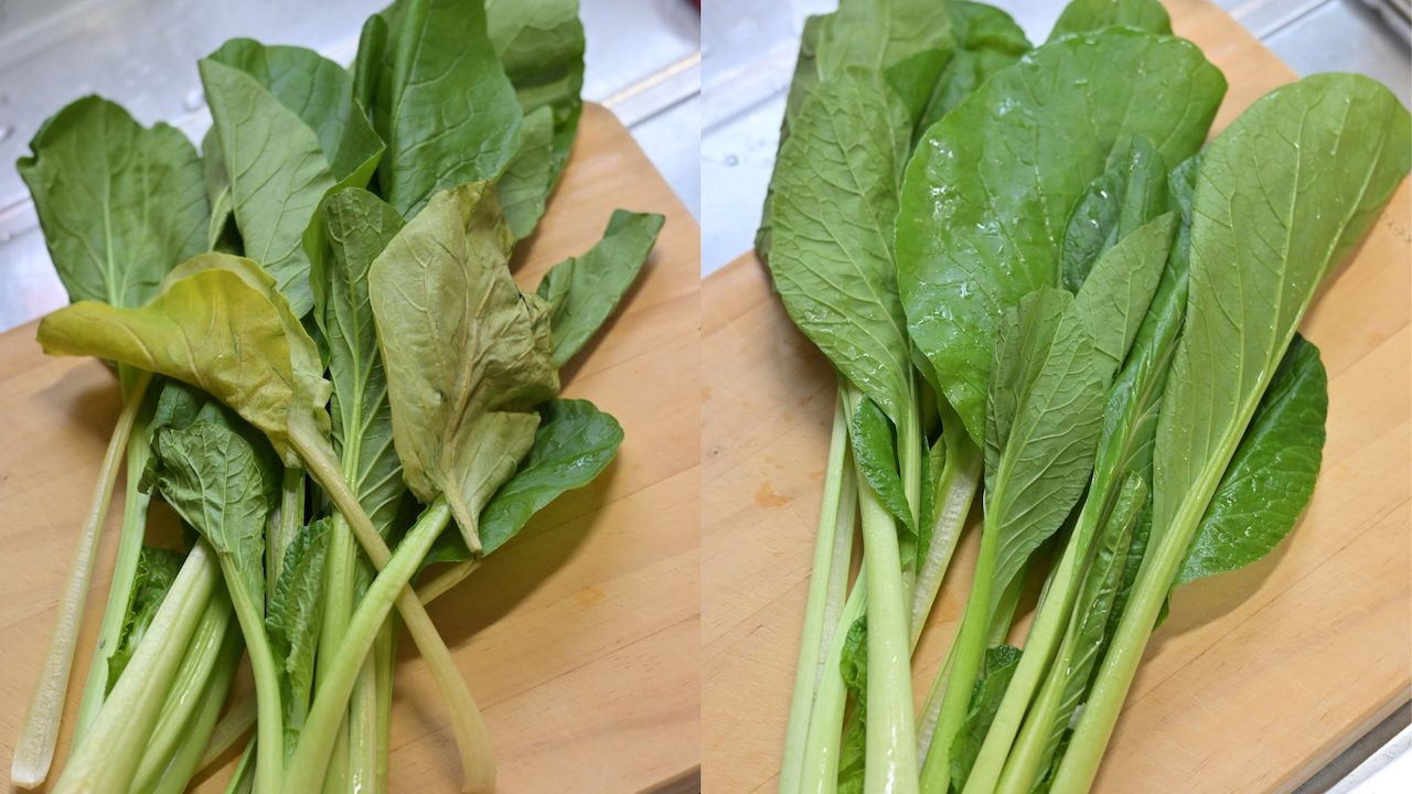 まるで買いたて。冷蔵庫の野菜をいつも新鮮に保つジッパーバッグが最強すぎる