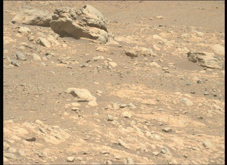 何に見える？ 火星探査機「パーサヴィアランス」が、彫刻みたいな隕石