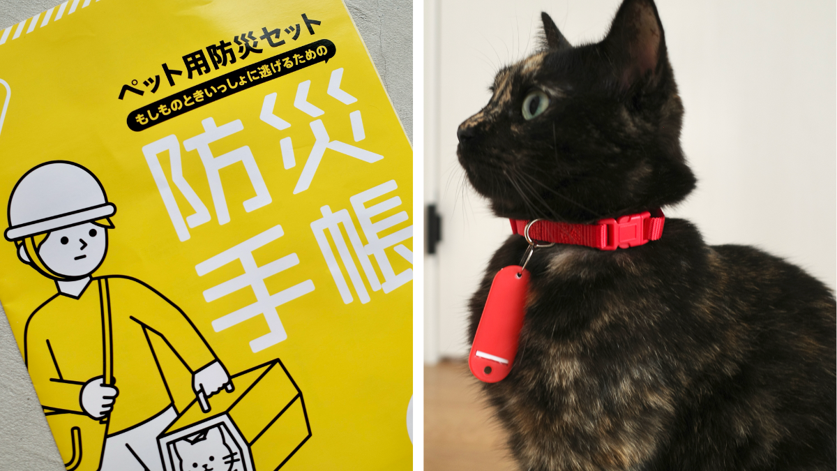 防災＝人間だけじゃない。猫用の避難セットがあるなんて知らなかった