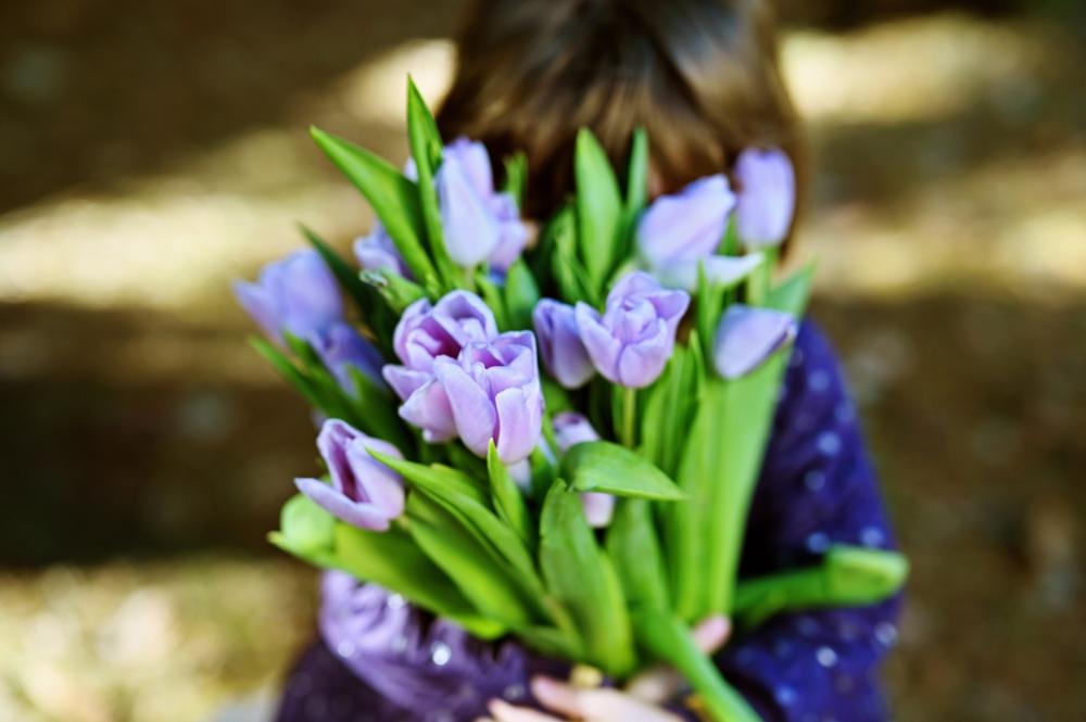 クリスマスプレゼントにお花はいかが？ 相手の住所がわからなくても贈れるサービスがあります