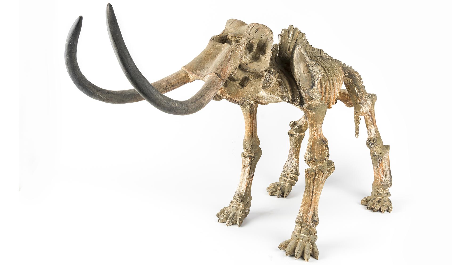 氷河期、人類はマンモスの骨でシェルターを作っていた | ギズモード